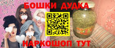 мдпв Будённовск